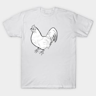 Rooster Chicken T-Shirt